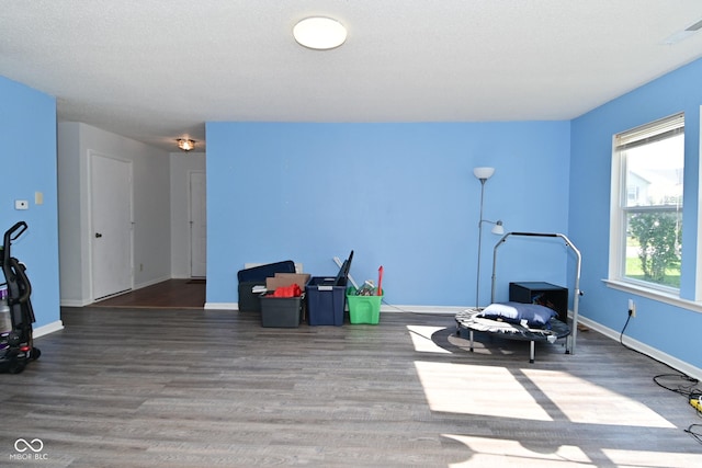 9237 Ogden Dunes Ct, Camby, IN 46113 - workout room with wood finished floors and baseboards