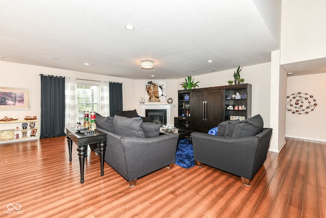 15097 Thoroughbred Dr, Fishers, IN 46040 - living room featuring light wood-type flooring, a glass covered fireplace, and recessed lighting