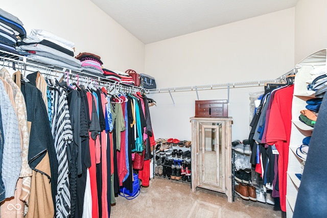 15097 Thoroughbred Dr, Fishers, IN 46040 - spacious closet with carpet floors