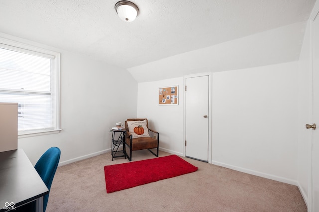 6640 E Washington St, Indianapolis, IN 46219 - carpeted home office with lofted ceiling, a textured ceiling, and baseboards