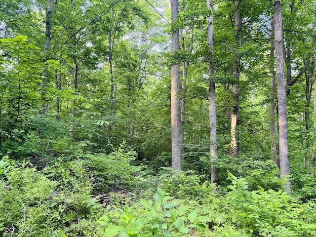 0 Laurel Rd, Laurel, IN 47024