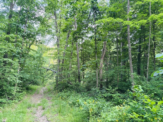 0 Laurel Rd, Laurel, IN 47024