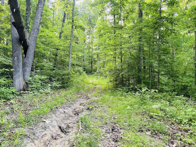 0 Laurel Rd, Laurel, IN 47024