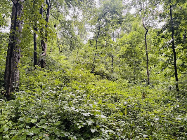 0 Laurel Rd, Laurel, IN 47024