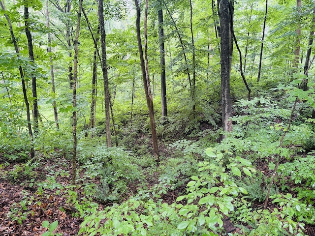 0 Laurel Rd, Laurel, IN 47024