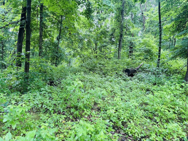 0 Laurel Rd, Laurel, IN 47024