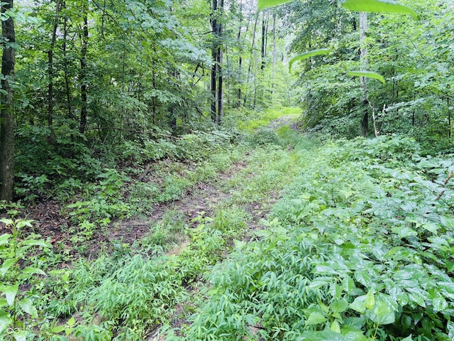 0 Laurel Rd, Laurel, IN 47024