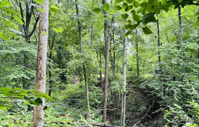 0 Laurel Rd, Laurel, IN 47024
