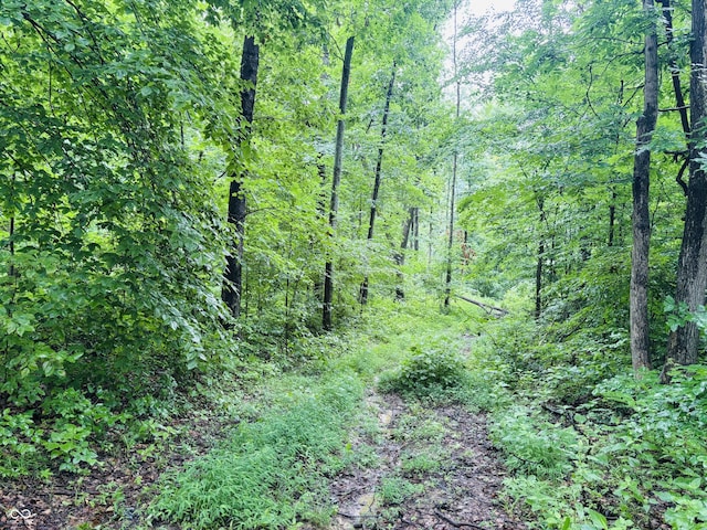 0 Laurel Rd, Laurel, IN 47024