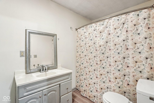 2640 S Silcox Rd, Paragon, IN 46166 - full bath with vanity, wood finished floors, and curtained shower