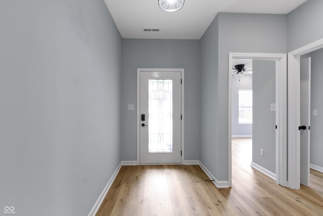 8355 Fieldfare Way, Indianapolis, IN 46237 - foyer entrance with healthy amount of natural light, light wood-style flooring, and baseboards