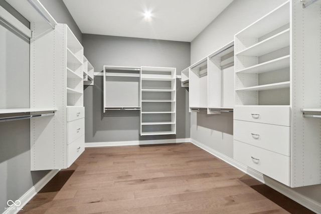 12594 Pasco St, Fishers, IN 46038 - walk in closet with light wood finished floors