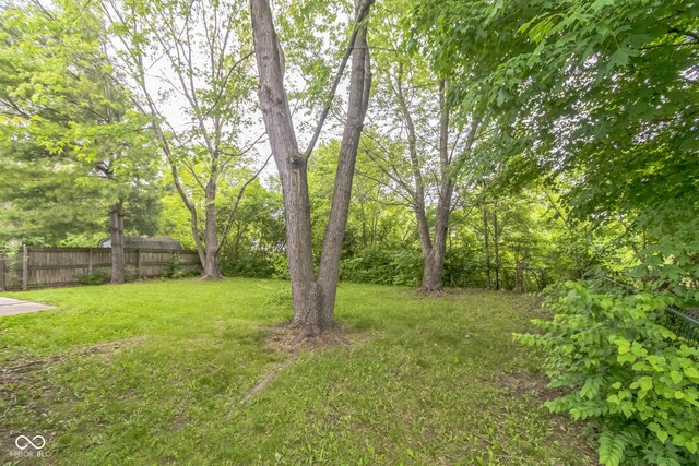 11114 Wismar Dr, Indianapolis, IN 46235 - view of yard