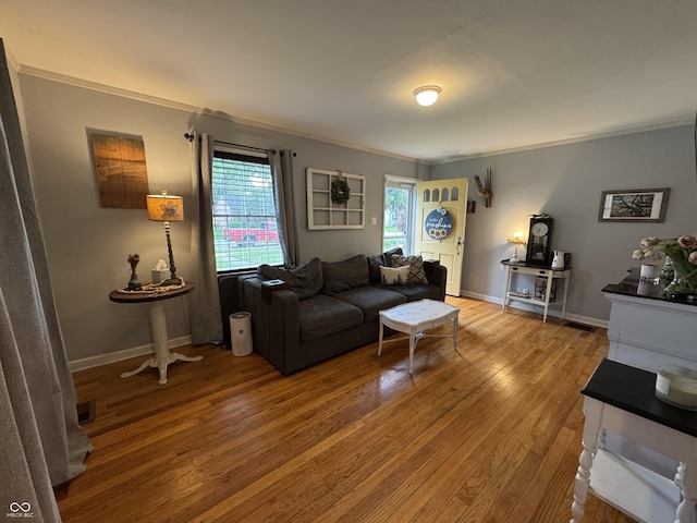537 N 17th St, Noblesville, IN 46060 - living area with crown molding and wood-type flooring