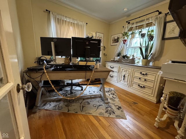 537 N 17th St, Noblesville, IN 46060 - office area featuring hardwood / wood-style floors and crown molding
