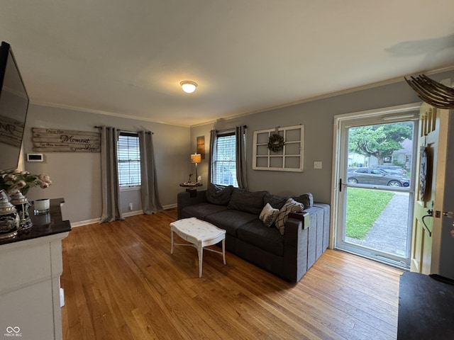 537 N 17th St, Noblesville, IN 46060 - living area featuring crown molding and hardwood / wood-style floors