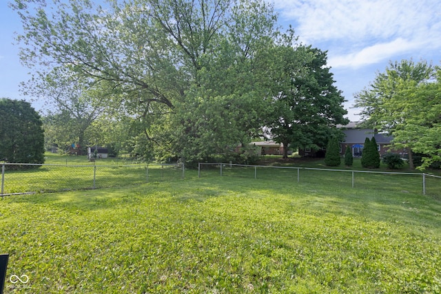 3141 Citadel Ct, Indianapolis, IN 46268 - view of yard