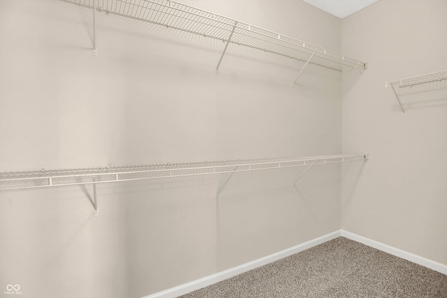 13528 Cuppertino Ln, Carmel, IN 46074 - spacious closet featuring carpet flooring