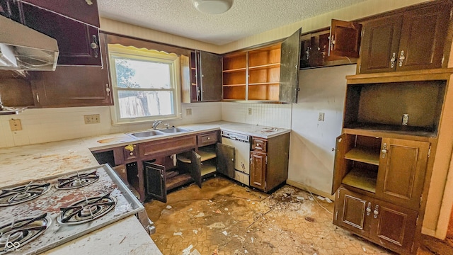 3215 E 10th St, Anderson, IN 46012 - kitchen with a sink, dishwashing machine, open shelves, under cabinet range hood, and a textured ceiling
