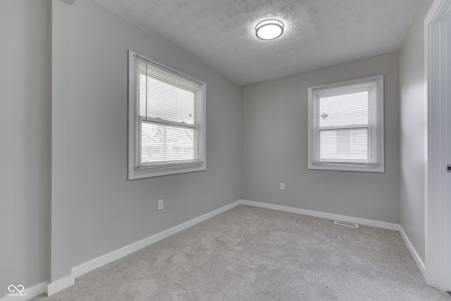 2945 N Denny St, Indianapolis, IN 46218 - carpeted empty room with plenty of natural light, a textured ceiling, and baseboards