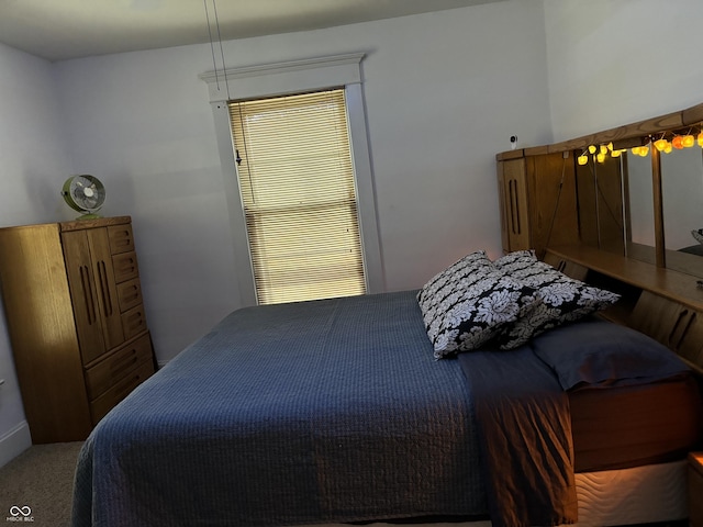 48 N Audubon Rd, Indianapolis, IN 46219 - bedroom with carpet flooring