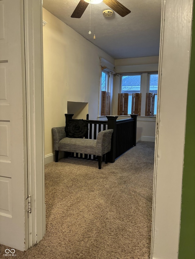 48 N Audubon Rd, Indianapolis, IN 46219 - living area with carpet flooring and ceiling fan