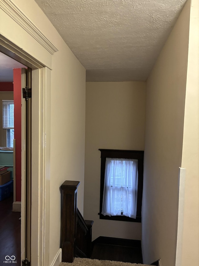 48 N Audubon Rd, Indianapolis, IN 46219 - hallway with plenty of natural light, a textured ceiling, and wood finished floors