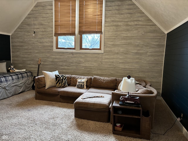 48 N Audubon Rd, Indianapolis, IN 46219 - carpeted living room featuring lofted ceiling and wood walls