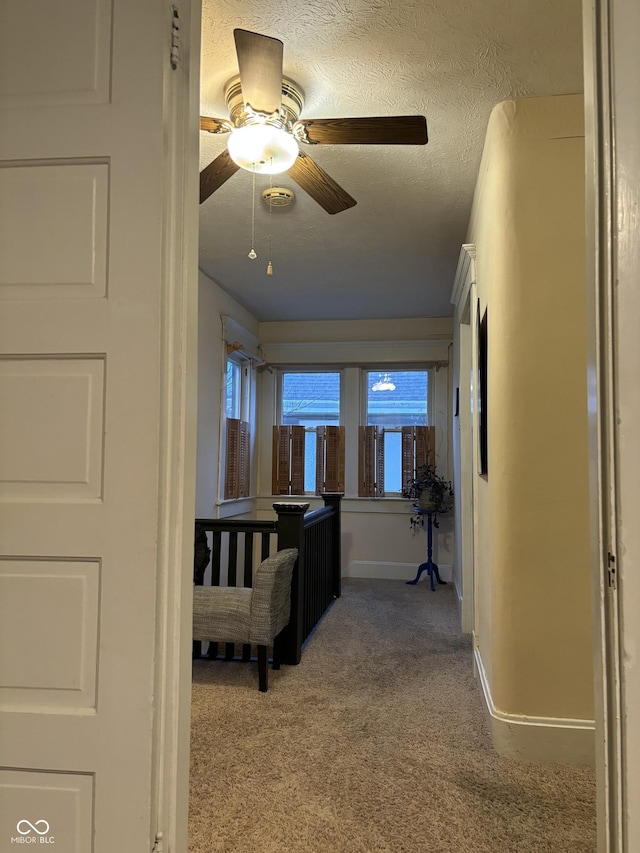 48 N Audubon Rd, Indianapolis, IN 46219 - hallway with carpet and baseboards