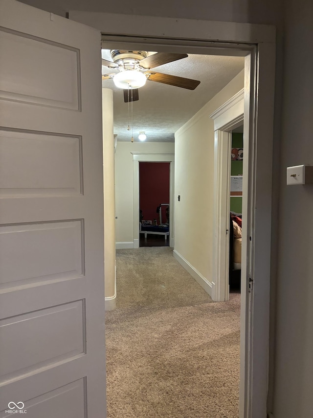 48 N Audubon Rd, Indianapolis, IN 46219 - hallway with carpet and baseboards