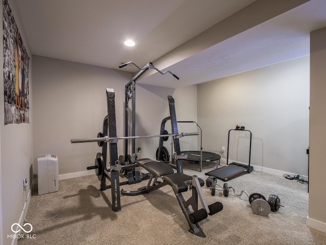 5684 Autumn Trl, Brownsburg, IN 46112 - workout room featuring carpet and baseboards