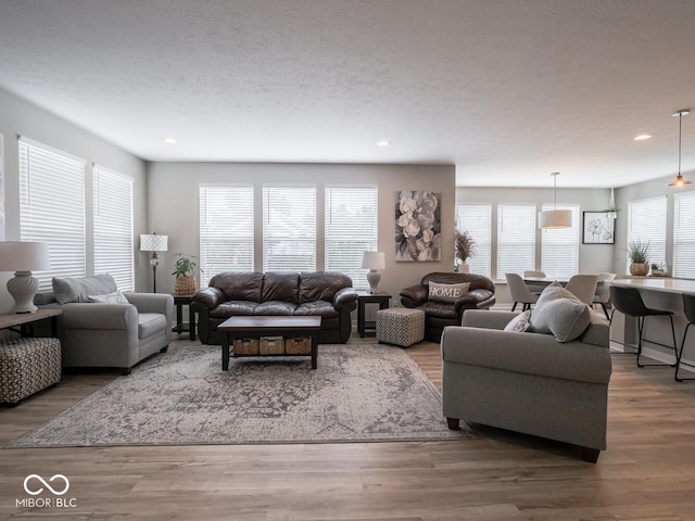 5684 Autumn Trl, Brownsburg, IN 46112 - living area featuring healthy amount of natural light, recessed lighting, wood finished floors, and a textured ceiling