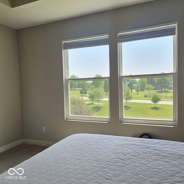 17255 Seaboard Pl, Noblesville, IN 46060 - unfurnished bedroom featuring baseboards and carpet flooring