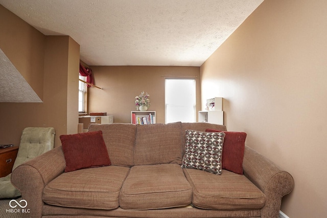 4342 Sequoia Ct, Greenwood, IN 46143 - living area with a textured ceiling