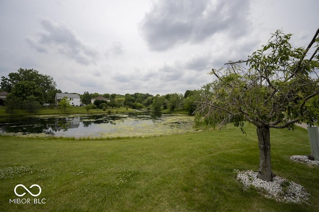 7657 Wheatgrass Ln, Noblesville, IN 46062 - water view