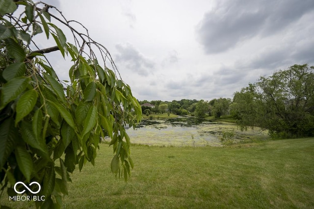 7657 Wheatgrass Ln, Noblesville, IN 46062 - view of green lawn with a water view