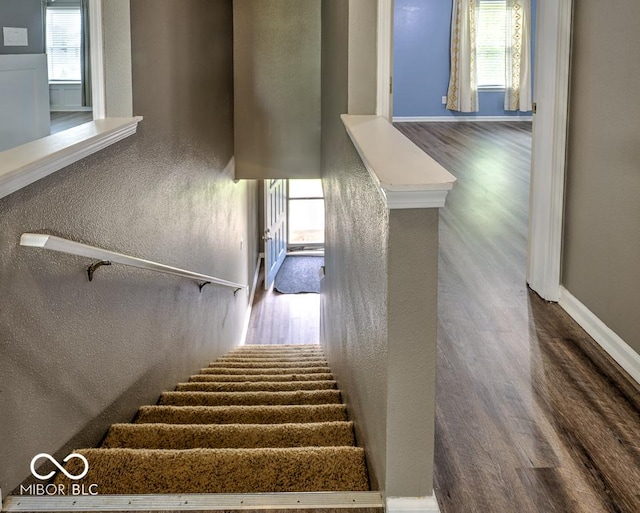 7657 Wheatgrass Ln, Noblesville, IN 46062 - staircase featuring wood finished floors, a textured wall, and baseboards