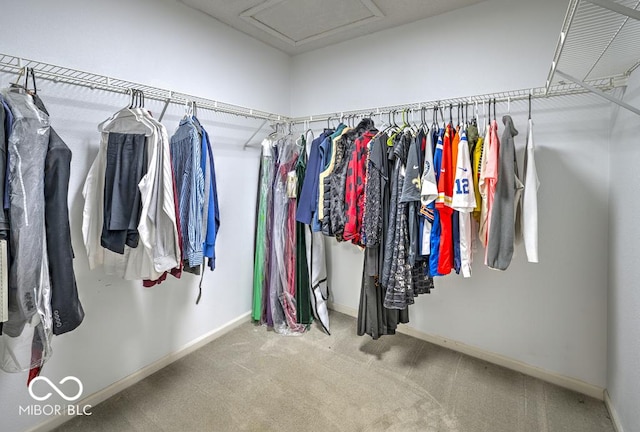 7657 Wheatgrass Ln, Noblesville, IN 46062 - spacious closet with carpet floors