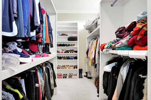 7635 Monte Carlo Way, Indianapolis, IN 46278 - spacious closet with carpet flooring