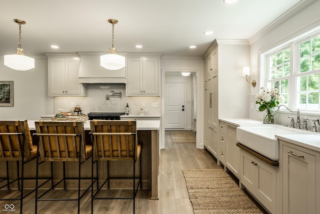 7105 Sylvan Ridge Rd, Indianapolis, IN 46240 - kitchen featuring a sink, premium range hood, light countertops, ornamental molding, and tasteful backsplash