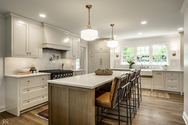 7105 Sylvan Ridge Rd, Indianapolis, IN 46240 - kitchen with premium range hood, tasteful backsplash, light countertops, stove, and crown molding