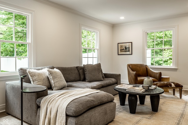 7105 Sylvan Ridge Rd, Indianapolis, IN 46240 - living area featuring healthy amount of natural light, ornamental molding, baseboards, and recessed lighting