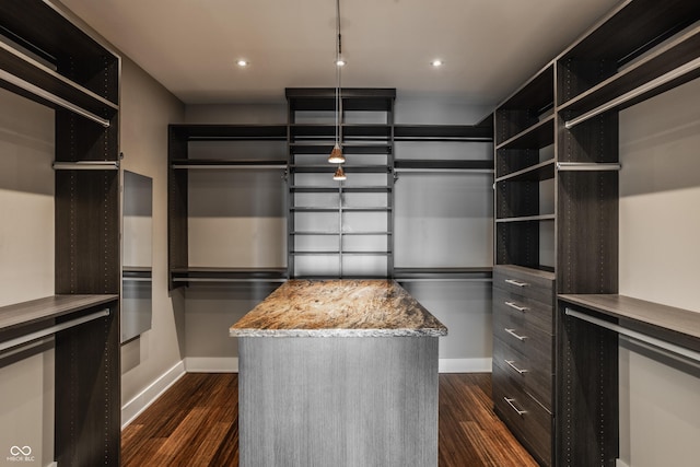 630 N College Ave Unit 409, Indianapolis, IN 46204 - spacious closet with dark wood finished floors
