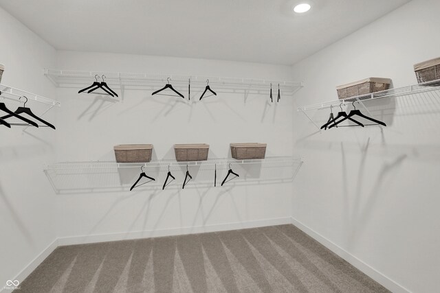 942 Shadow Dr, Danville, IN 46122 - walk in closet with carpet floors