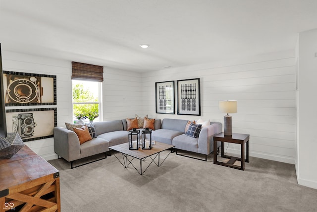 942 Shadow Dr, Danville, IN 46122 - living room with carpet floors, wood walls, and baseboards