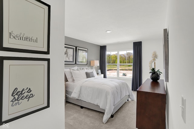 942 Shadow Dr, Danville, IN 46122 - bedroom with light colored carpet
