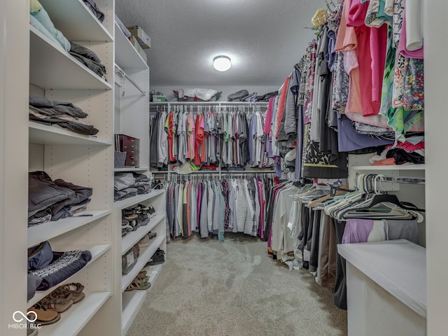 5351 Abbington Ave, Plainfield, IN 46168 - walk in closet featuring carpet flooring