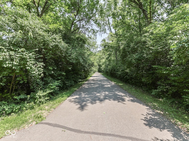 5351 Abbington Ave, Plainfield, IN 46168 - view of road with a wooded view
