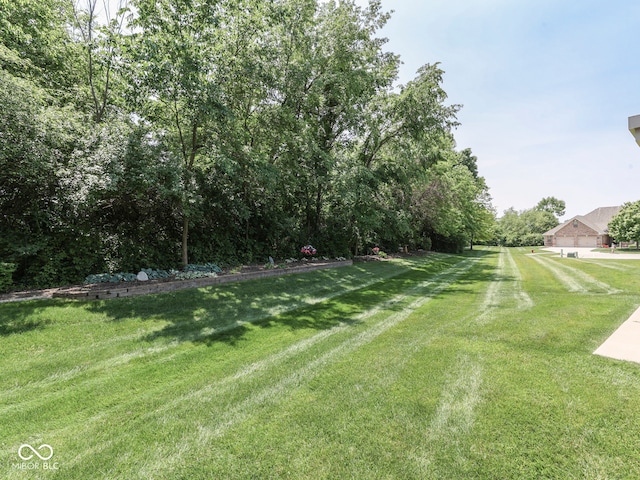 5351 Abbington Ave, Plainfield, IN 46168 - view of grassy yard