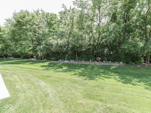 5351 Abbington Ave, Plainfield, IN 46168 - view of grassy yard